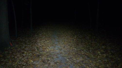 Takhle nějak to vypadá když běžím s čelovkou Takhle nějak to vypadá když běžím s čelovkou