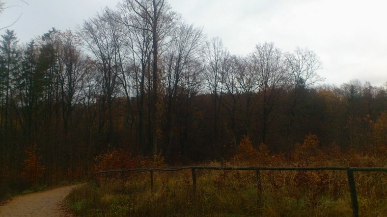 Tmavo, nepříznivo...