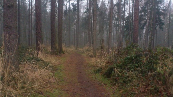 IMG_20160218_170211_141b